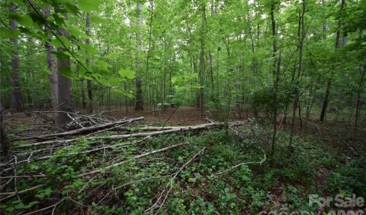 Photo #14 of 3007 Paraham, York, SC