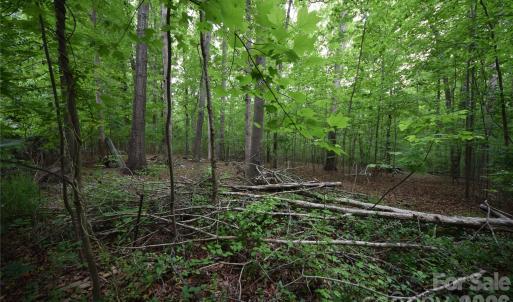 Photo #13 of 3007 Paraham, York, SC