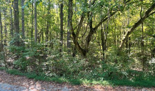 Photo #23 of Trull Hinson, Wingate, NC