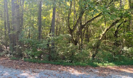 Photo #22 of Trull Hinson, Wingate, NC