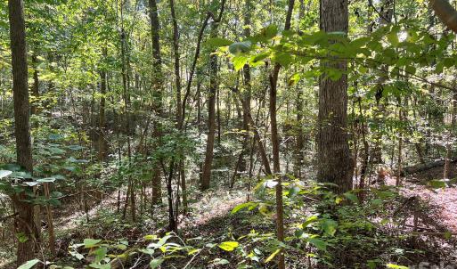 Photo #19 of Trull Hinson, Wingate, NC