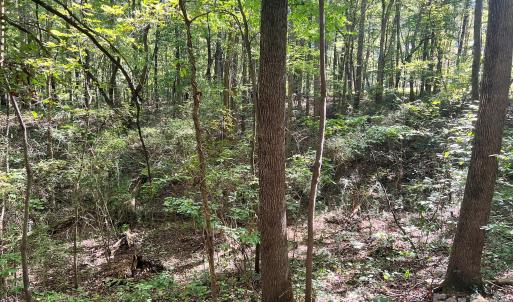 Photo #21 of Trull Hinson, Wingate, NC