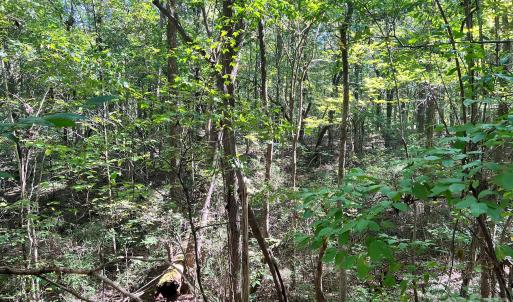 Photo #20 of Trull Hinson, Wingate, NC
