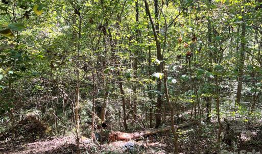 Photo #17 of Trull Hinson, Wingate, NC