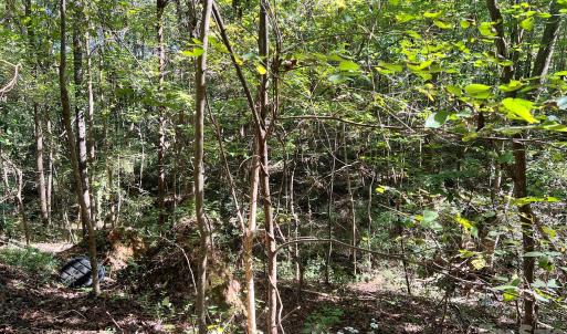 Photo #18 of Trull Hinson, Wingate, NC