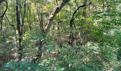 Photo #25 of Trull Hinson, Wingate, NC
