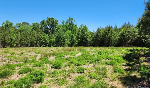 Photo #4 of 2423 Pine Grove Church, Eagle Springs, NC