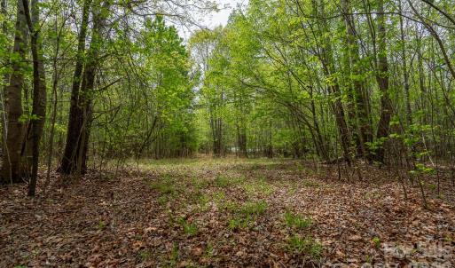 Photo #4 of Blackwelder, Salisbury, NC