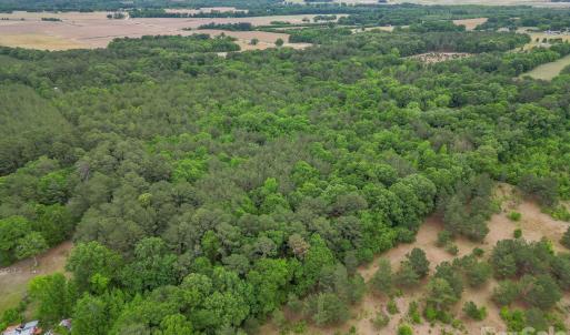 Photo #7 of Magnolia, Bennettsville, SC