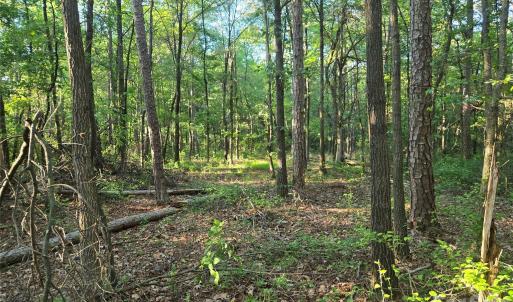 Photo #12 of 218, Marshville, NC