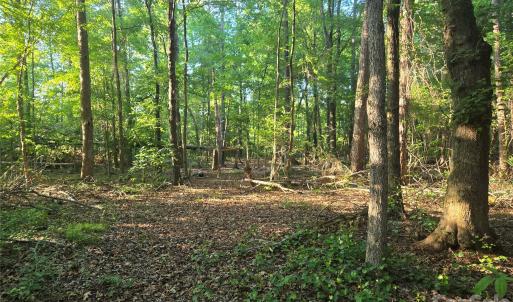 Photo #11 of 218, Marshville, NC