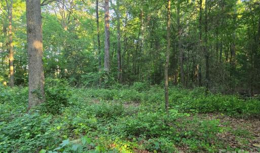 Photo #10 of 218, Marshville, NC