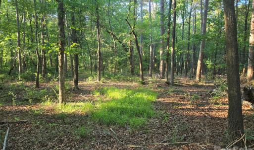 Photo #9 of 218, Marshville, NC