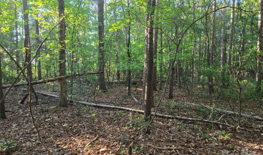Photo #13 of 218, Marshville, NC