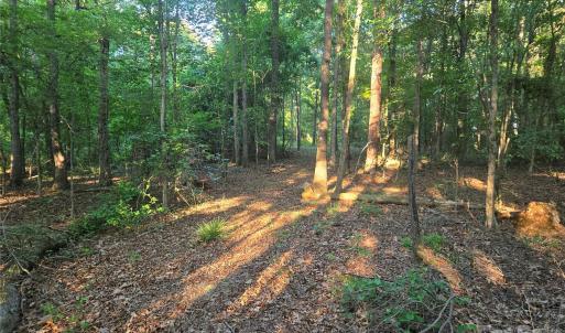 Photo #8 of 218, Marshville, NC