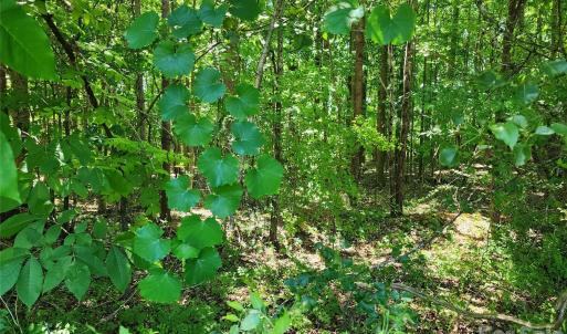Photo #3 of Deerbrook, Salisbury, NC