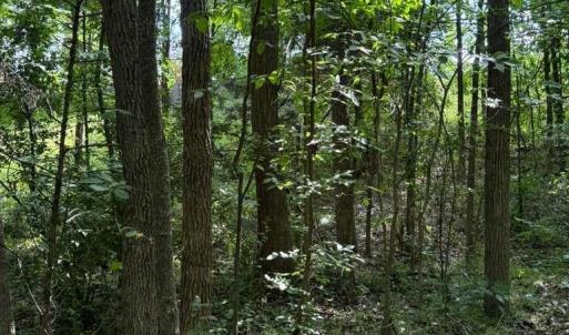 Photo #6 of 10501 Davidson, Huntersville, NC