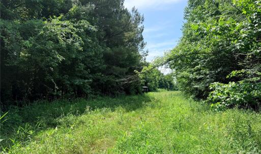 Photo #19 of 10501 Davidson, Huntersville, NC