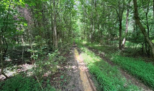Photo #5 of 10501 Davidson, Huntersville, NC