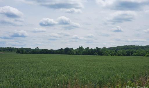 Photo #5 of Porter, Waxhaw, NC