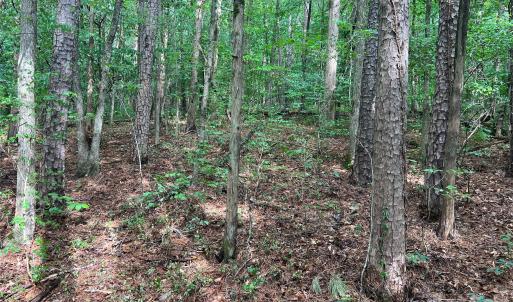 Photo #11 of 5620 Barrier Georgeville, Mount Pleasant, NC