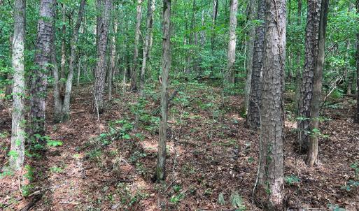 Photo #10 of 5620 Barrier Georgeville, Mount Pleasant, NC