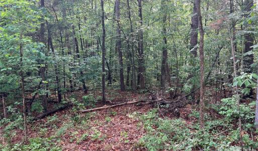 Photo #11 of 5620 Barrier Georgeville, Mount Pleasant, NC
