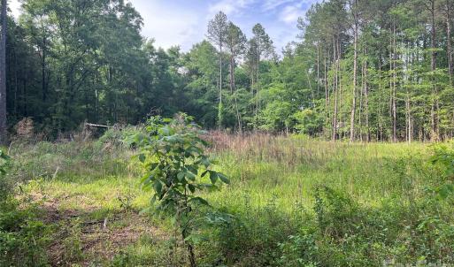 Photo #9 of 5620 Barrier Georgeville, Mount Pleasant, NC