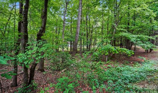 Photo #6 of 1116 Billy Howey, Waxhaw, NC