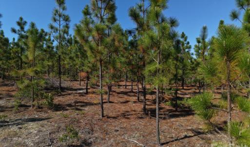 Photo #3 of Mt Olivet Church, Patrick, SC