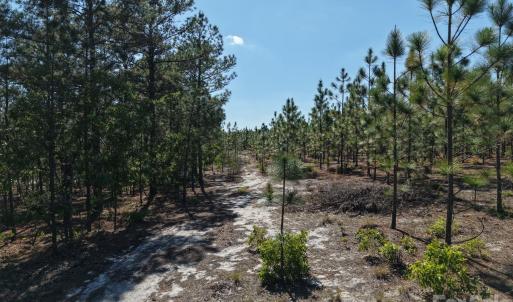 Photo #19 of Mt Olivet Church, Patrick, SC