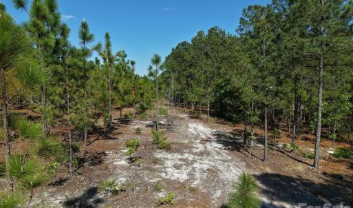 Photo #5 of Mt Olivet Church, Patrick, SC