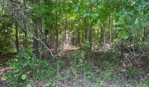 Photo #3 of 2206 Highway 1, Elgin, SC