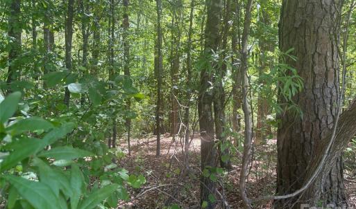 Photo #4 of 2206 Highway 1, Elgin, SC