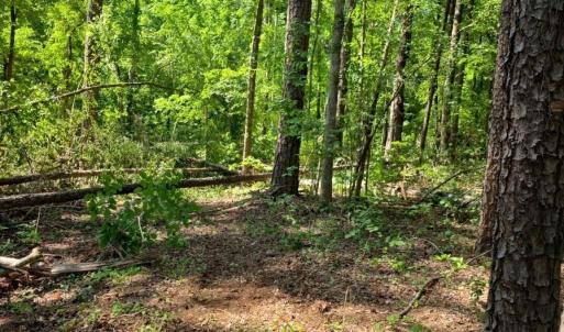 Photo #7 of 2340 Montford, Concord, NC