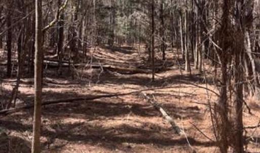 Photo #1 of 312 Pine Grove, Blythewood, SC