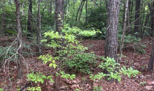 Photo #10 of 2426 Ore Bank, Smyrna, SC