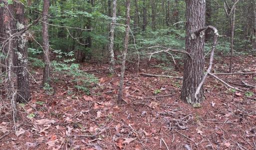 Photo #11 of 2426 Ore Bank, Smyrna, SC