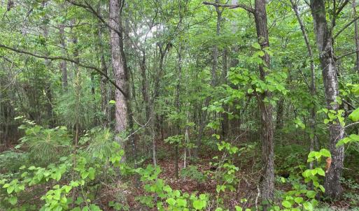 Photo #1 of 2426 Ore Bank, Smyrna, SC