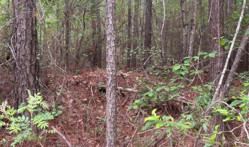 Photo #13 of 2426 Ore Bank, Smyrna, SC