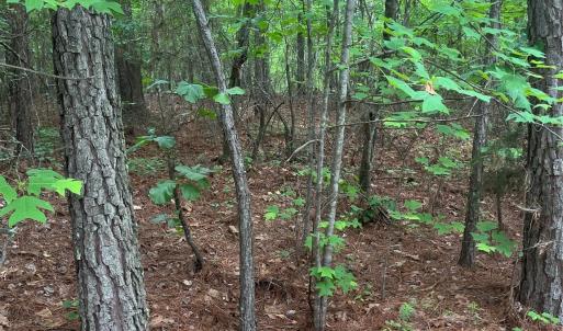Photo #16 of 2426 Ore Bank, Smyrna, SC