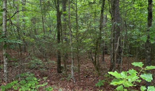 Photo #9 of 2426 Ore Bank, Smyrna, SC