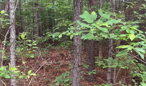 Photo #14 of 2426 Ore Bank, Smyrna, SC