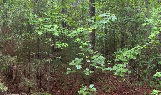 Photo #6 of 2426 Ore Bank, Smyrna, SC