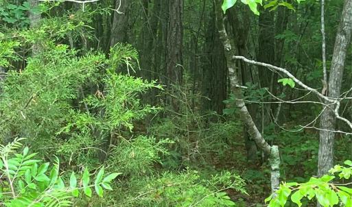 Photo #7 of 2426 Ore Bank, Smyrna, SC