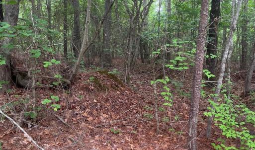 Photo #15 of 2426 Ore Bank, Smyrna, SC