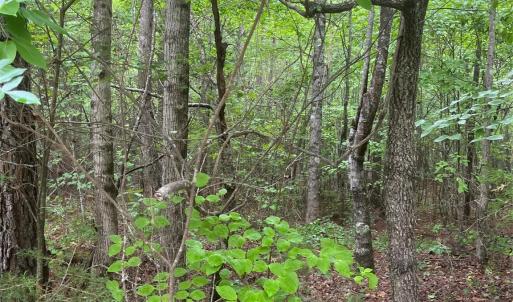 Photo #5 of 2426 Ore Bank, Smyrna, SC