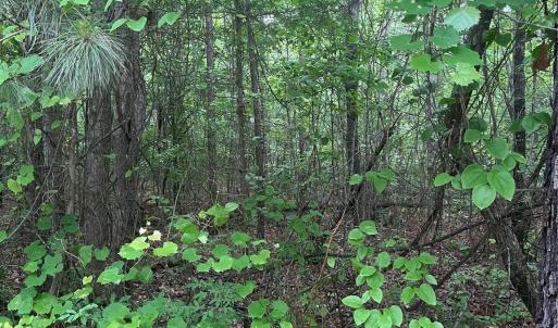 Photo #4 of 2426 Ore Bank, Smyrna, SC