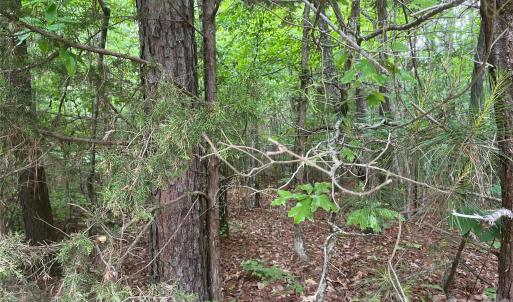 Photo #2 of 2426 Ore Bank, Smyrna, SC
