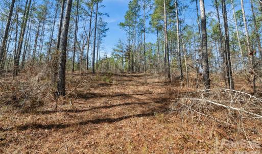 Photo #28 of Peacehaven, McConnells, SC
